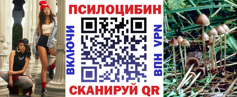 Псилоцибиновые грибы Psilocybine cubensis  где купить наркотик  Малоярославец 
