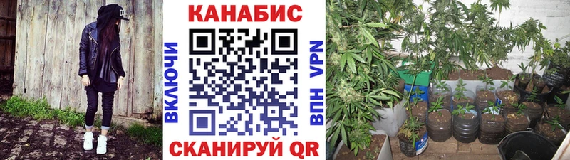 blacksprut сайт Малоярославец Конопля конопля